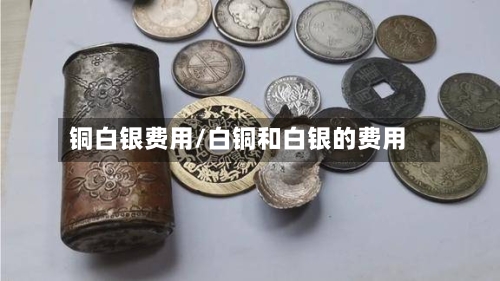 铜白银费用/白铜和白银的费用
