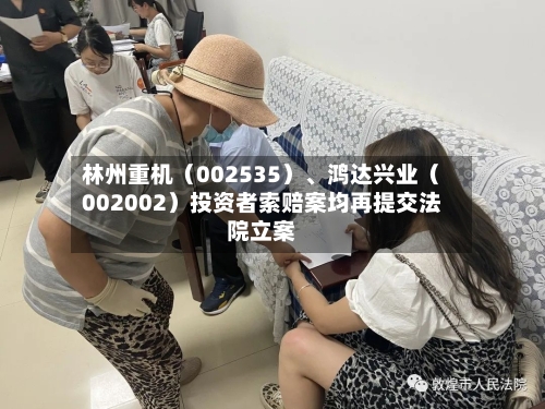 林州重机（002535）、鸿达兴业（002002）投资者索赔案均再提交法院立案-第3张图片