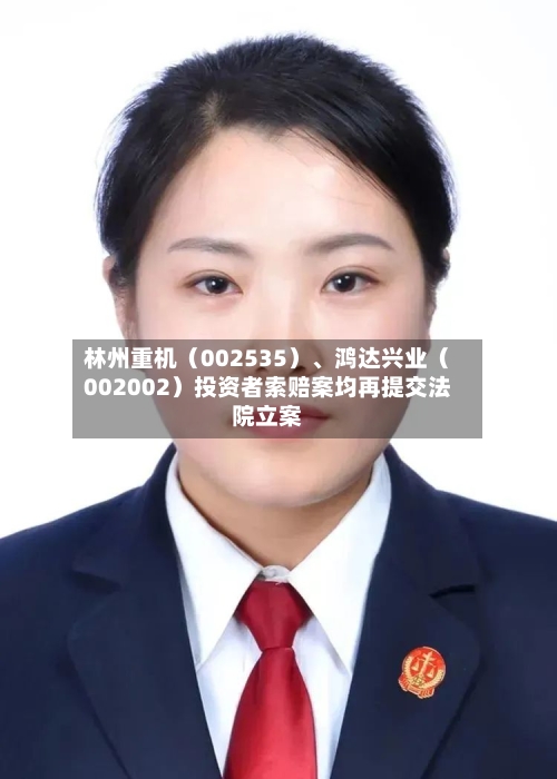 林州重机（002535）	、鸿达兴业（002002）投资者索赔案均再提交法院立案-第2张图片