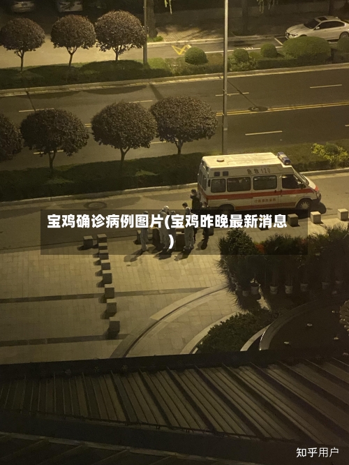 宝鸡确诊病例图片(宝鸡昨晚最新消息)-第2张图片