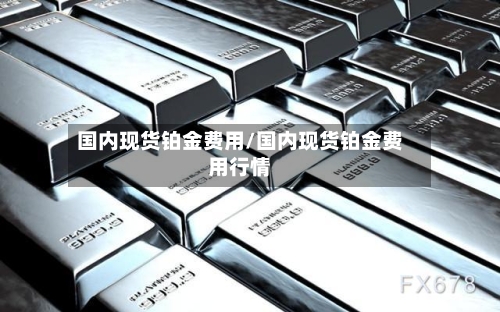 国内现货铂金费用/国内现货铂金费用行情