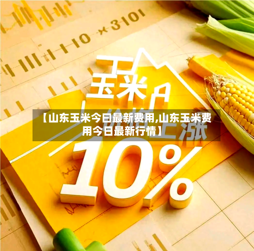 【山东玉米今曰最新费用,山东玉米费用今日最新行情】-第3张图片