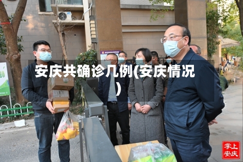 安庆共确诊几例(安庆情况)-第2张图片