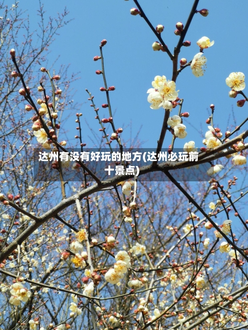 达州有没有好玩的地方(达州必玩前十景点)