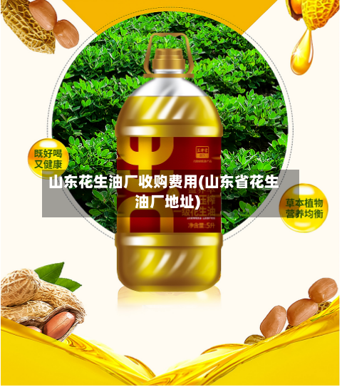 山东花生油厂收购费用(山东省花生油厂地址)-第2张图片