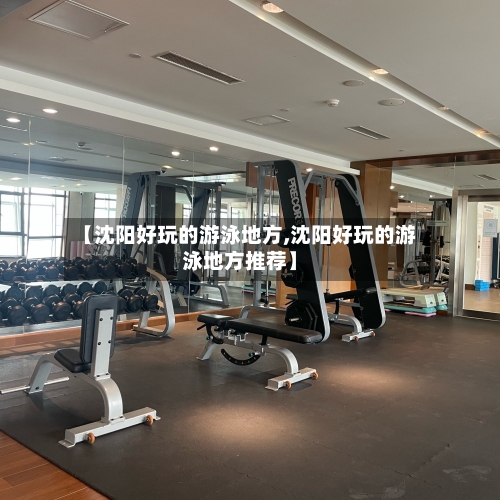 【沈阳好玩的游泳地方,沈阳好玩的游泳地方推荐】-第2张图片