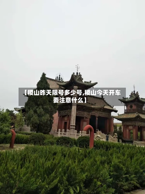 【稷山昨天限号多少号,稷山今天开车要注意什么】-第3张图片