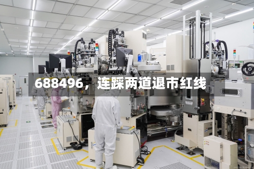 688496，连踩两道退市红线-第3张图片