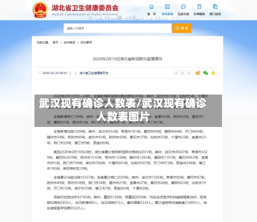 武汉现有确诊人数表/武汉现有确诊人数表图片
