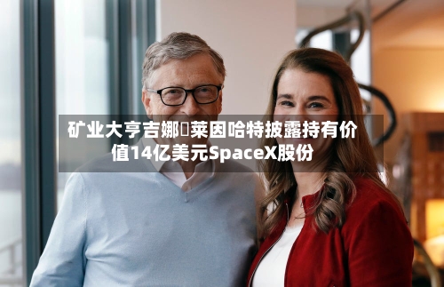 矿业大亨吉娜・莱因哈特披露持有价值14亿美元SpaceX股份-第1张图片
