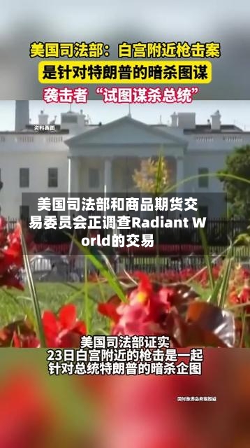 美国司法部和商品期货交易委员会正调查Radiant World的交易