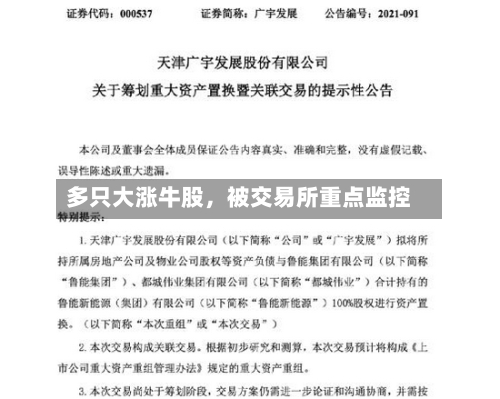 多只大涨牛股，被交易所重点监控-第2张图片