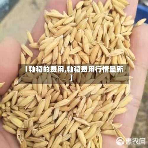 【籼稻的费用,籼稻费用行情最新】