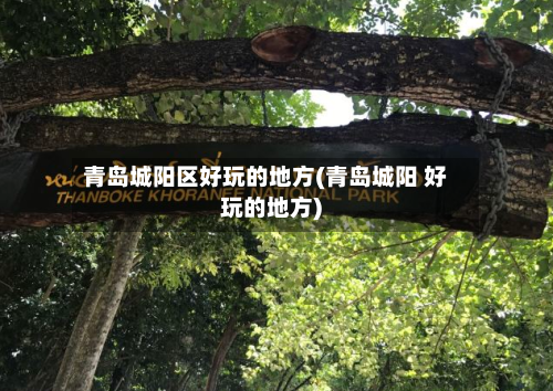 青岛城阳区好玩的地方(青岛城阳 好玩的地方)