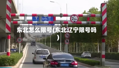 东北怎么限号(东北辽宁限号吗)