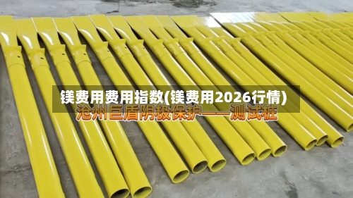 镁费用费用指数(镁费用2026行情)-第2张图片