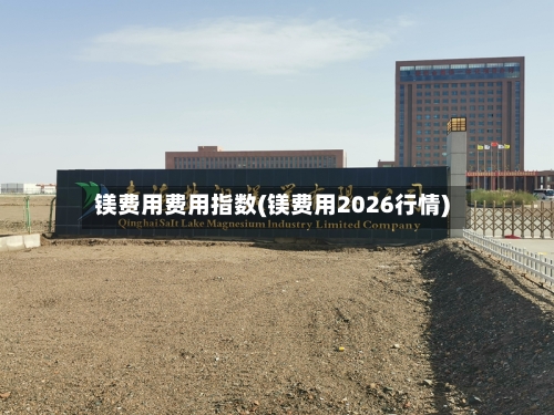 镁费用费用指数(镁费用2026行情)-第3张图片