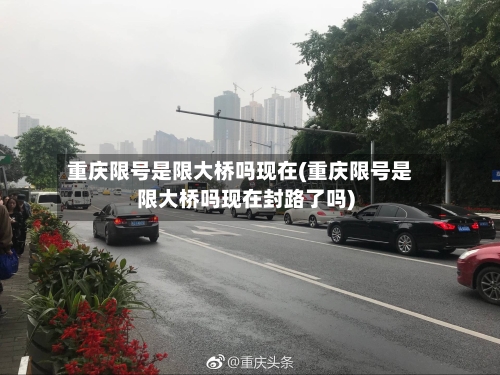 重庆限号是限大桥吗现在(重庆限号是限大桥吗现在封路了吗)-第2张图片
