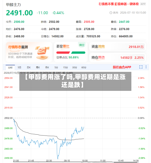 【甲醇费用涨了吗,甲醇费用近期是涨还是跌】-第2张图片