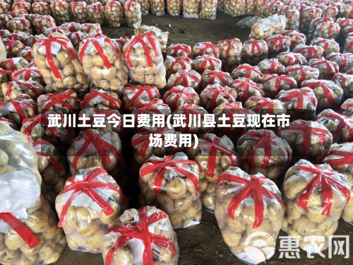 武川土豆今日费用(武川县土豆现在市场费用)-第2张图片