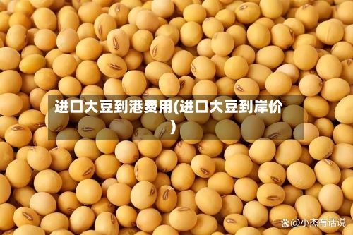 进口大豆到港费用(进口大豆到岸价)