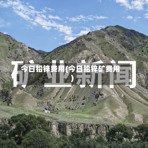 今日铅锌费用(今日铅锌矿费用)