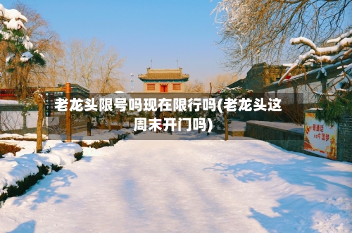 老龙头限号吗现在限行吗(老龙头这周末开门吗)-第3张图片