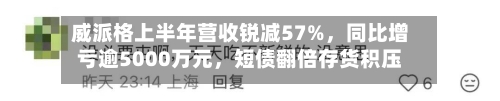 威派格上半年营收锐减57%	，同比增亏逾5000万元，短债翻倍存货积压风险暗涌-第1张图片