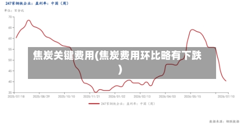 焦炭关键费用(焦炭费用环比略有下跌)-第2张图片