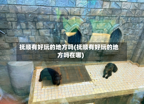 抚顺有好玩的地方吗(抚顺有好玩的地方吗在哪)