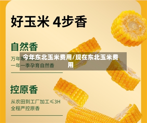 今年东北玉米费用/现在东北玉米费用-第2张图片