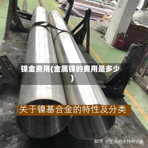 镍金费用(金属镍的费用是多少)
