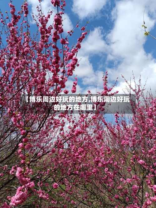【博乐周边好玩的地方,博乐周边好玩的地方在哪里】