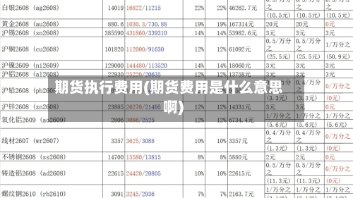 期货执行费用(期货费用是什么意思啊)-第2张图片
