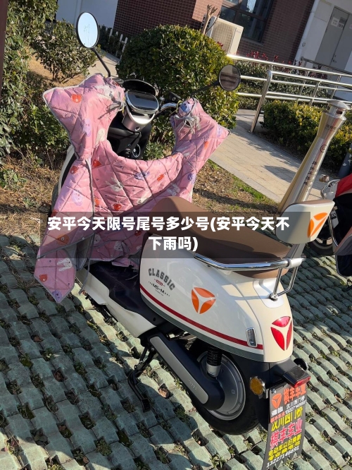 安平今天限号尾号多少号(安平今天不下雨吗)-第2张图片