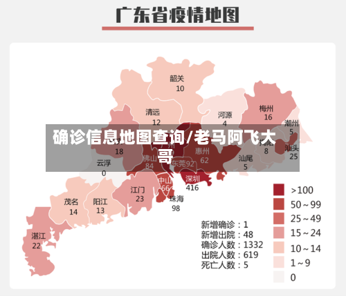 确诊信息地图查询/老马阿飞大哥-第2张图片