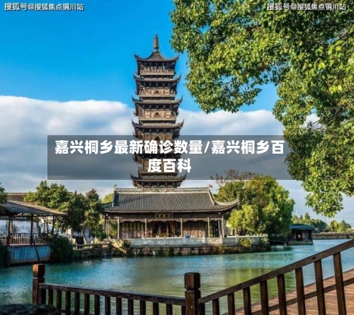 嘉兴桐乡最新确诊数量/嘉兴桐乡百度百科-第3张图片