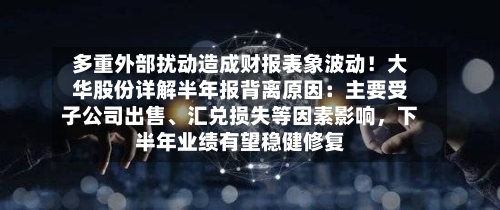 多重外部扰动造成财报表象波动！大华股份详解半年报背离原因：主要受子公司出售、汇兑损失等因素影响	，下半年业绩有望稳健修复-第1张图片