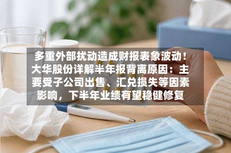 多重外部扰动造成财报表象波动！大华股份详解半年报背离原因：主要受子公司出售、汇兑损失等因素影响	，下半年业绩有望稳健修复-第2张图片
