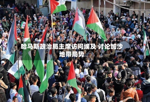 哈马斯政治局主席访问埃及 讨论加沙地带局势-第2张图片