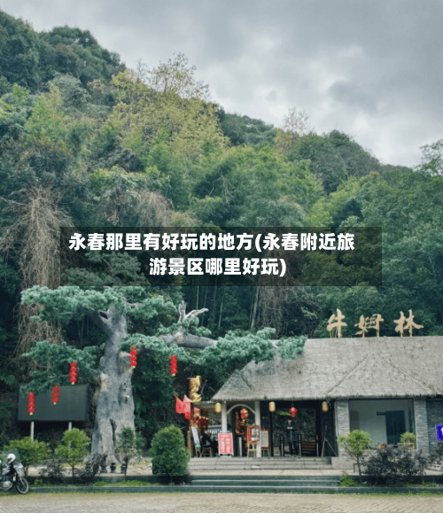 永春那里有好玩的地方(永春附近旅游景区哪里好玩)-第3张图片