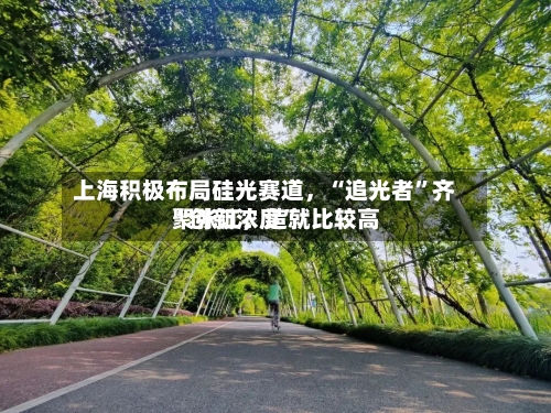 上海积极布局硅光赛道，“追光者”齐聚张江	，造就比较高“创新浓度”-第2张图片