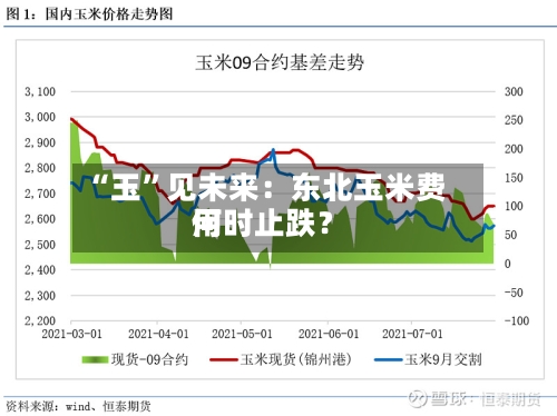 “玉	”见未来：东北玉米费用何时止跌？-第1张图片