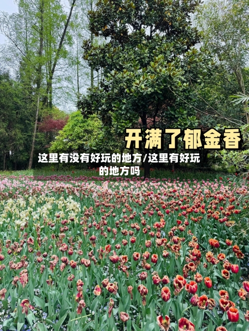 这里有没有好玩的地方/这里有好玩的地方吗