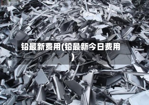 铅最新费用(铅最新今日费用)-第2张图片