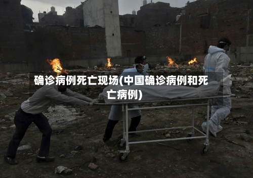 确诊病例死亡现场(中国确诊病例和死亡病例)