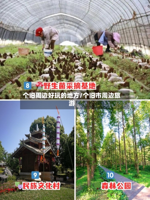 个旧周边好玩的地方/个旧市周边旅游