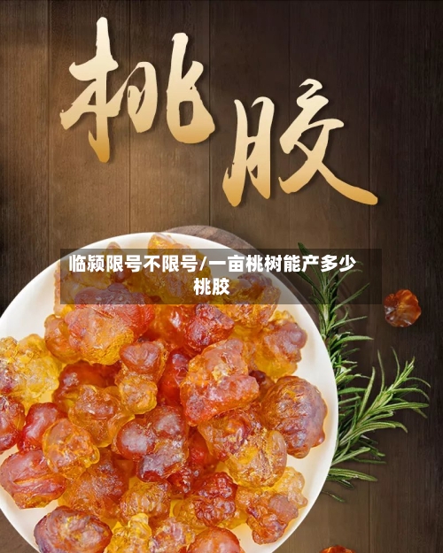 临颍限号不限号/一亩桃树能产多少桃胶