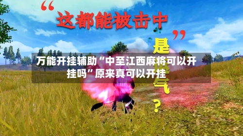 万能开挂辅助“中至江西麻将可以开挂吗”原来真可以开挂-第2张图片
