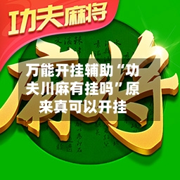 万能开挂辅助“功夫川麻有挂吗”原来真可以开挂-第2张图片